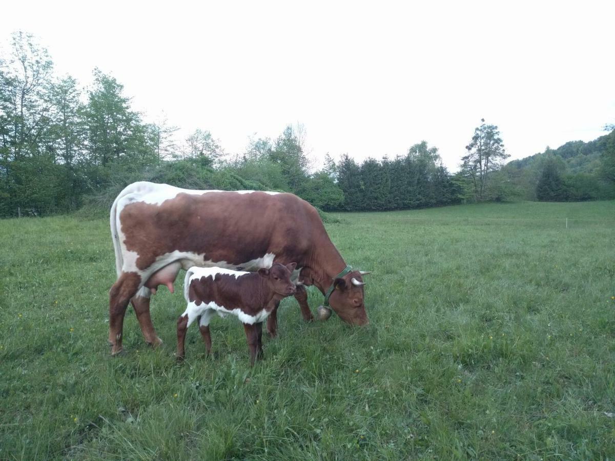 라도블리차 Puzman Farm Glamping 빌라 외부 사진