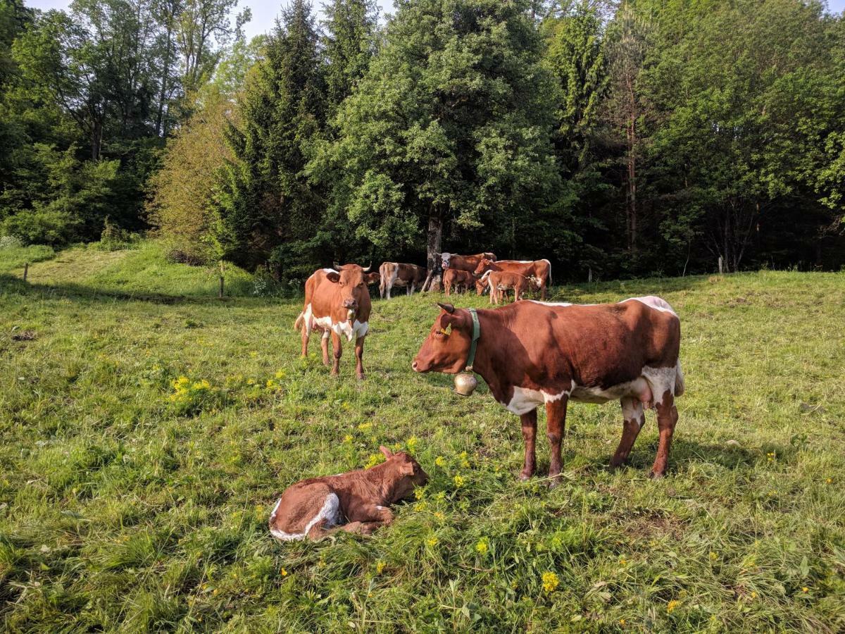 라도블리차 Puzman Farm Glamping 빌라 외부 사진